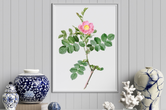 Download Vintage Rose Graphic, Wedding Design - Design Collection
